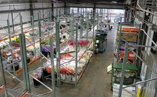 Image of floral warehouse at North American Wholesale Florists Inc.