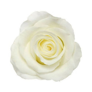 001WHT