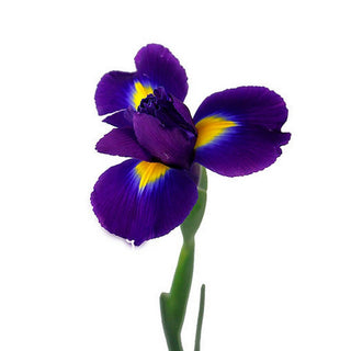 018