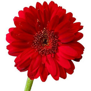 020_RED