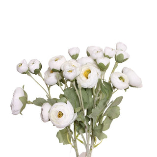 024092-WHT