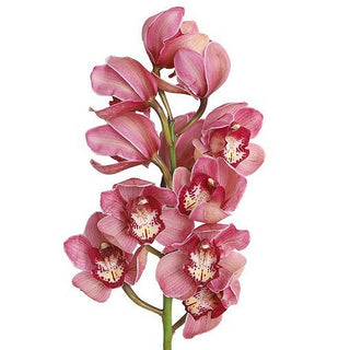 027B