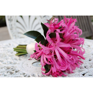 048_HOT-PINK