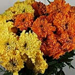 052B