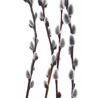 053