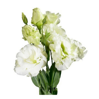 081B