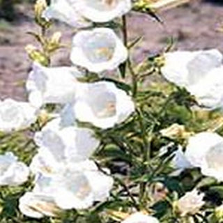 095