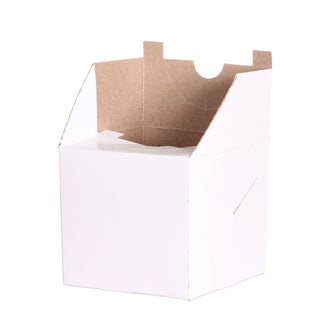 1001-BOX