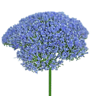117