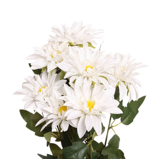 12653-WHT