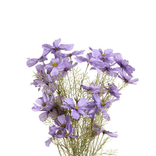 12674-BLU
