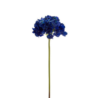 225512-DB