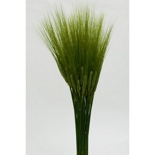 237_GREEN-WHEAT