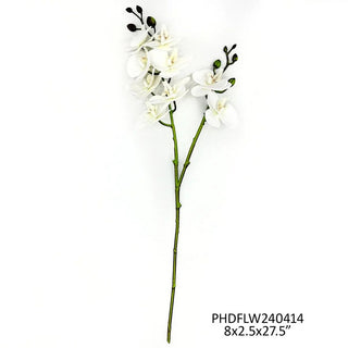 240414-WHT