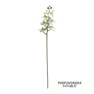 240415-WHT