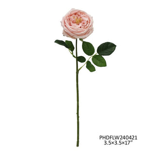 240421-PNK
