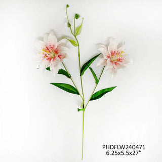 240471-BLS
