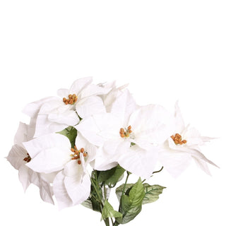 42094-WHT