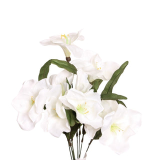 49288-WHT