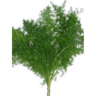 507