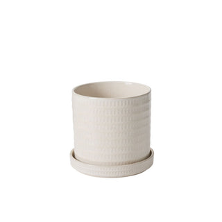 50736-WHT