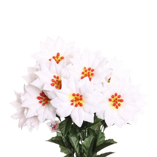 50782-WHT