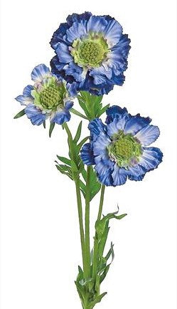 5290-BLU