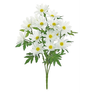 5577-WHT