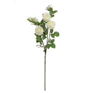 5976-WHT