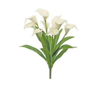 6021-WHT