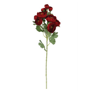 6407-RED