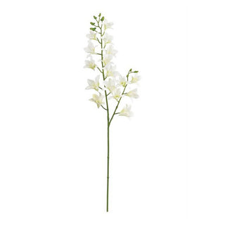 6458-WHT
