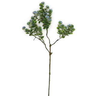 6635-BLU