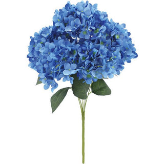 6769-BLU