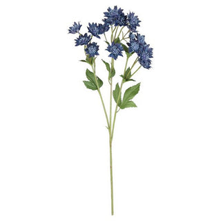 6866-BLU
