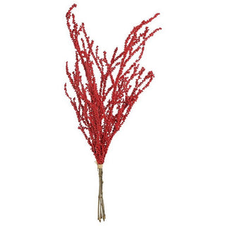 B1647-RED