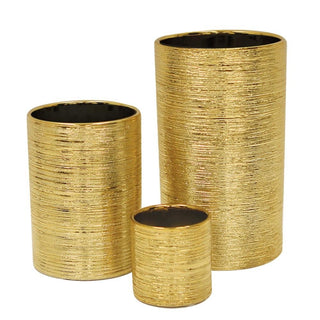 CCN56-GLD