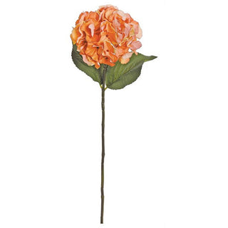 D132-COR