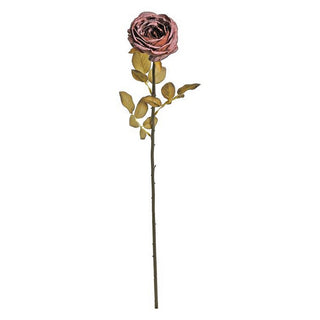 D134-BUR