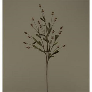 F2743-BE