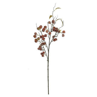 F491-BUR