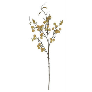 F491-GLD