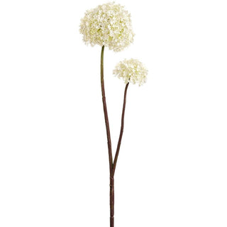 FSS039-CR