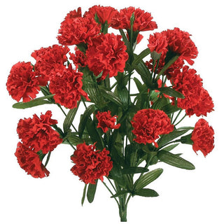S681223-RED