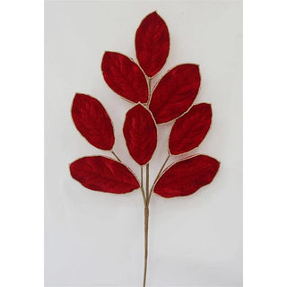 XF672-RED