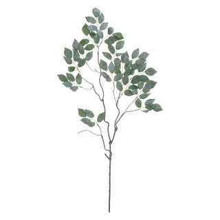 XG1029-GRN