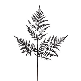 XS244102