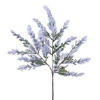 XX9667