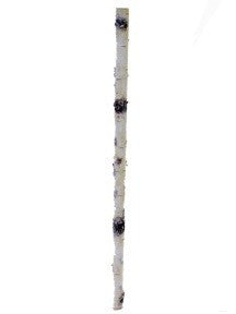 2140061-WH