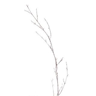 224134-FRO